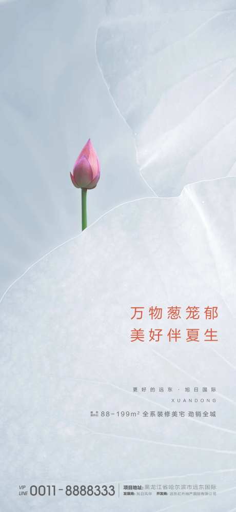 夏至海报-采灵感-https://www.cailinggan.com/
