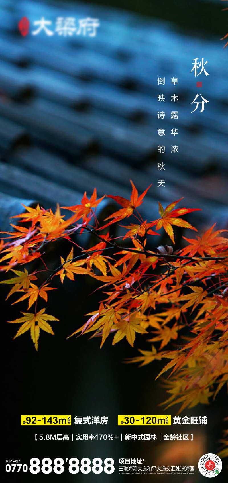 秋分节气海报-采灵感-cailinggan.com