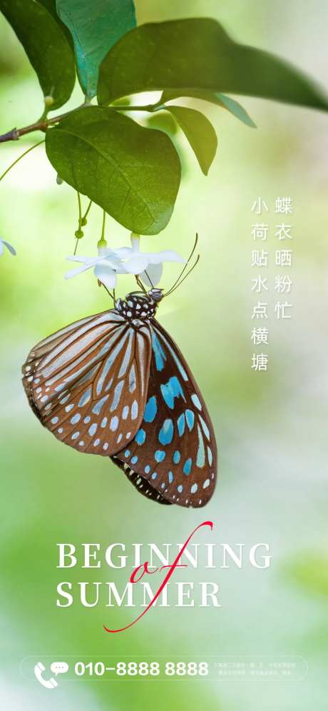 房地产立夏节气海报-采灵感-https://www.cailinggan.com/