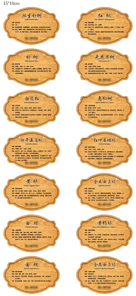 树铭牌设计-采灵感-https://www.cailinggan.com/