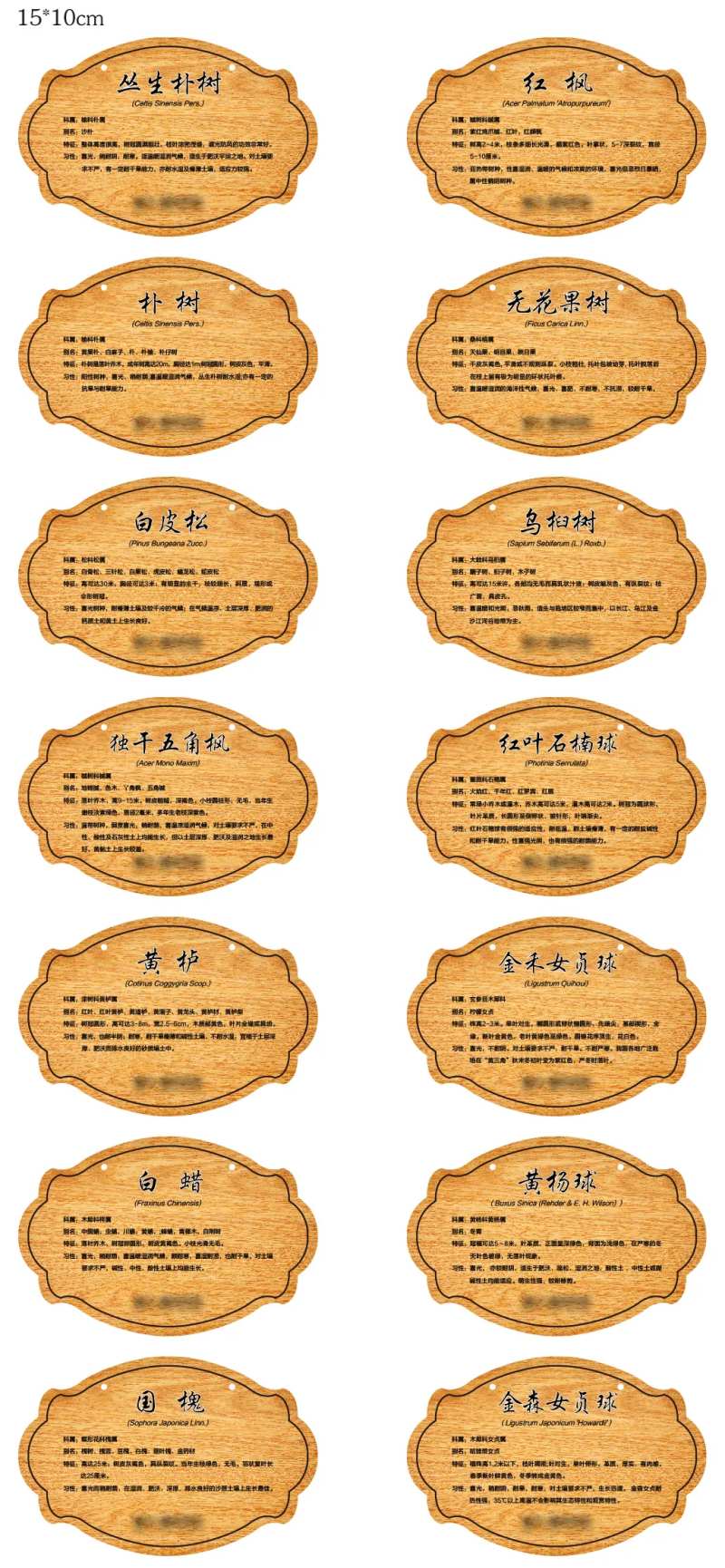 树铭牌设计-采灵感-cailinggan.com