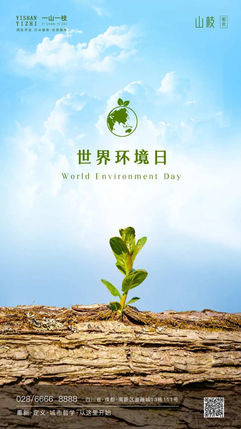 世界环境日海报-采灵感-cailinggan.com