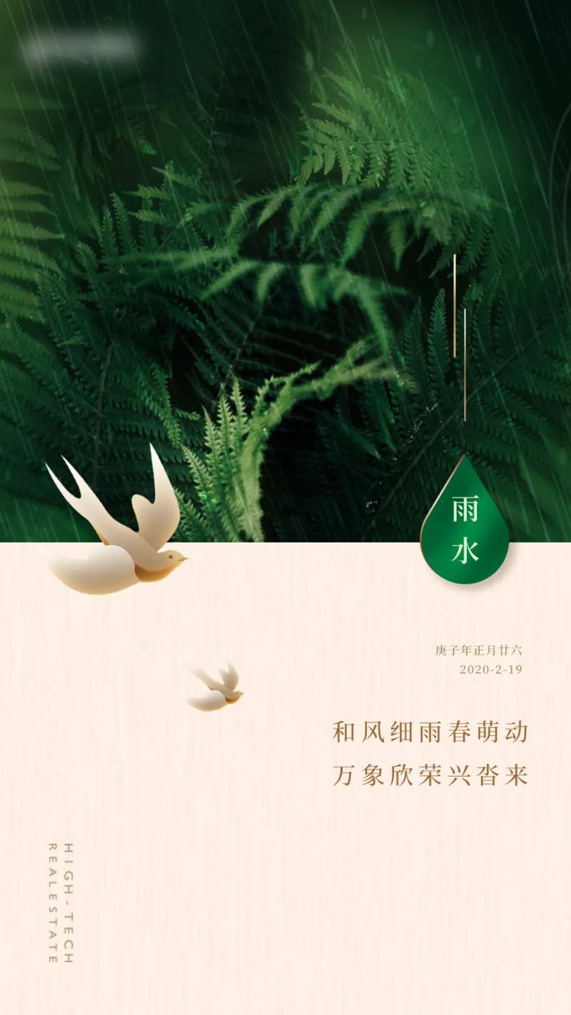 雨水节气移动端海报-采灵感-cailinggan.com