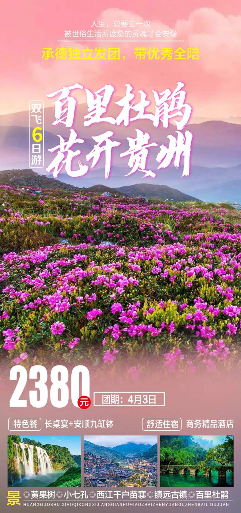 百里杜鹃花开富贵旅游海报-采灵感-cailinggan.com
