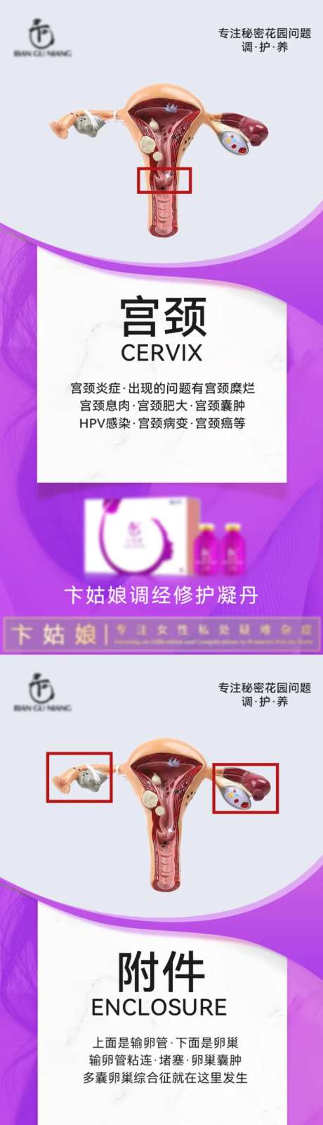 私护私密健康系列海报-采灵感-https://www.cailinggan.com/