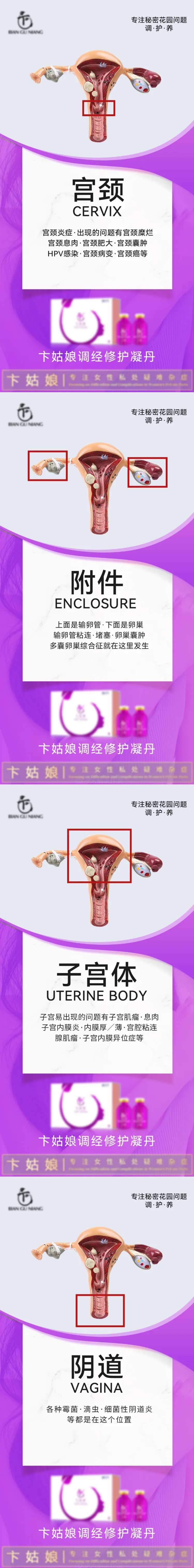 私护私密健康系列海报-采灵感-cailinggan.com