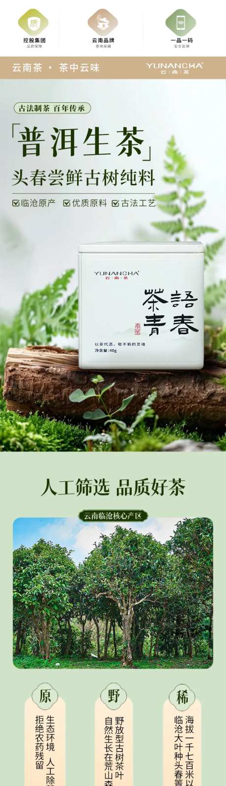 云南茶叶普洱茶生茶-采灵感-https://www.cailinggan.com/