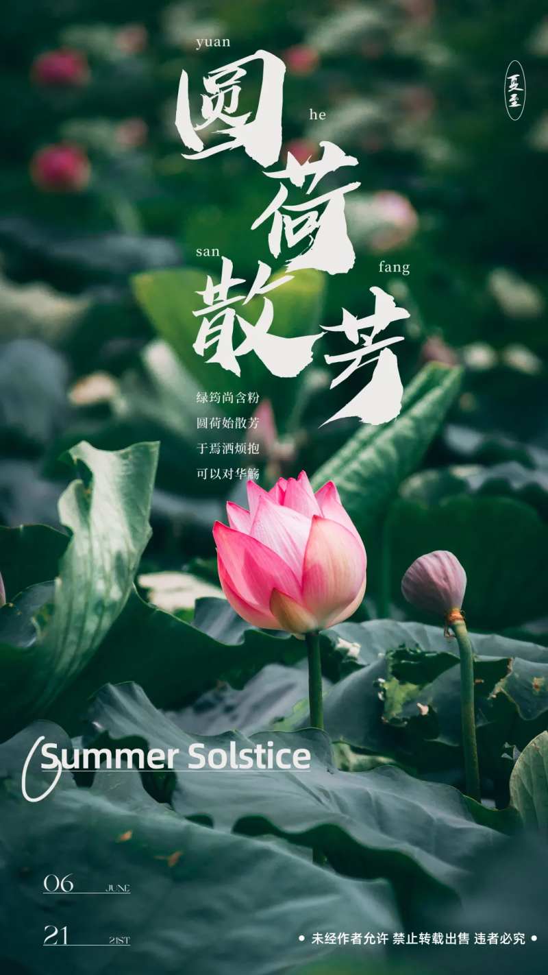 地产夏至文艺海报-采灵感-cailinggan.com