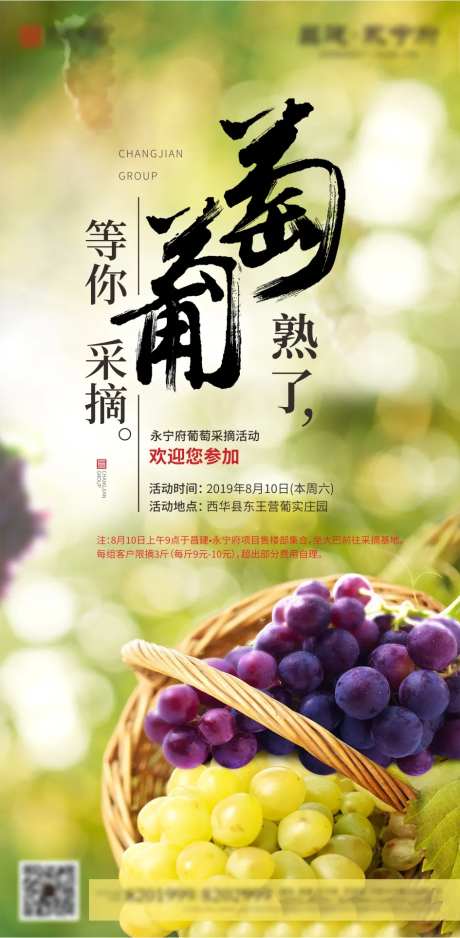 葡萄采摘活动-采灵感-https://www.cailinggan.com/