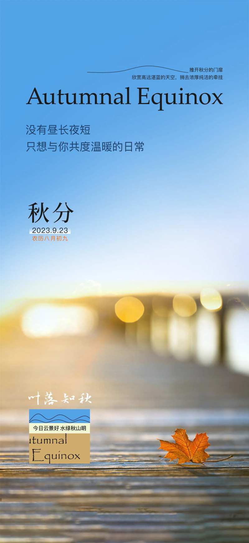 秋分节气海报-采灵感-cailinggan.com