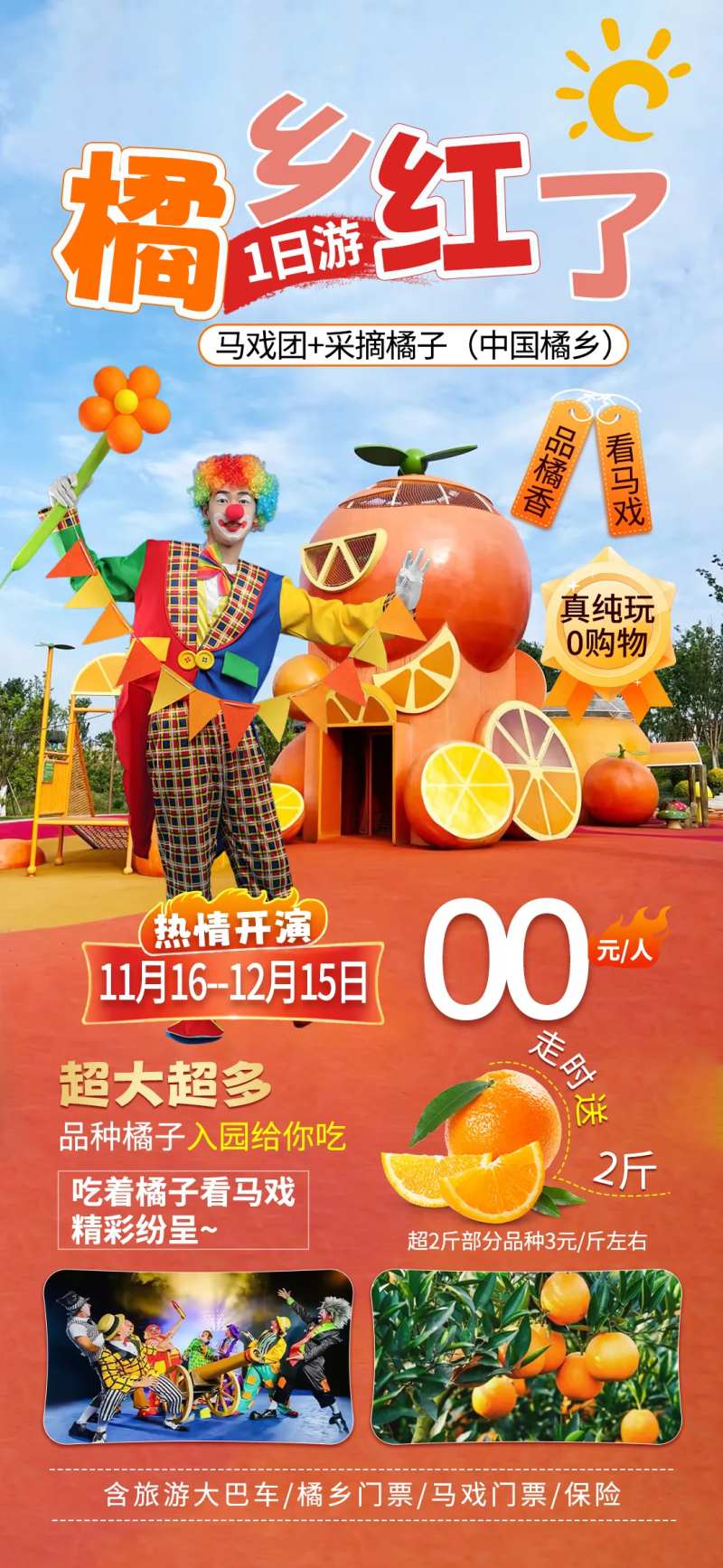 橘子采摘海报-采灵感-cailinggan.com