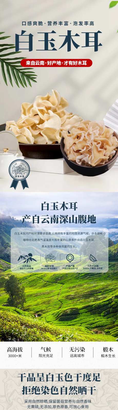 白玉木耳-采灵感-https://www.cailinggan.com/