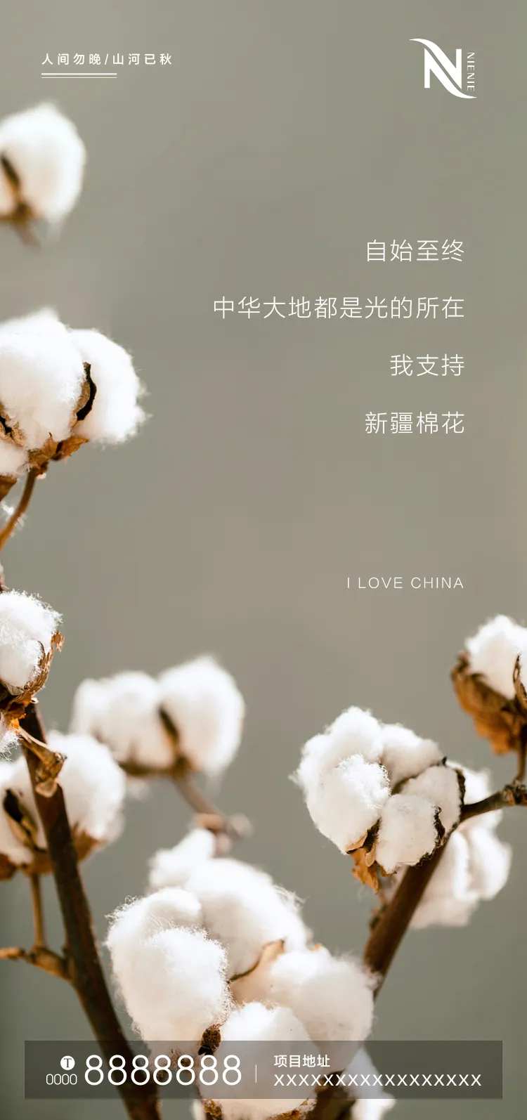 地产新疆棉花热点海报-采灵感-cailinggan.com