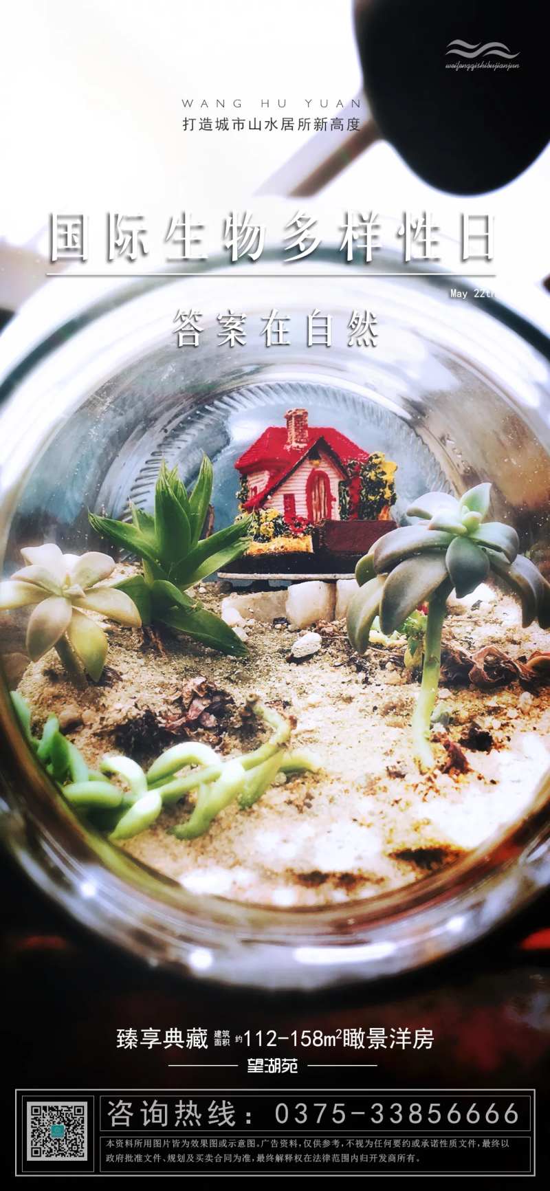 国际生物多样性日海报-采灵感-cailinggan.com