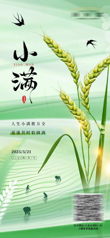 小满节气海报-采灵感-cailinggan.com