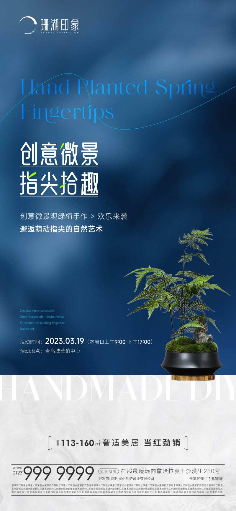 周末暖场绿植手作文竹DIY海报-采灵感-cailinggan.com