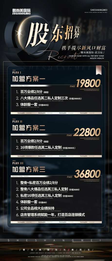 医美股东招募营销海报-采灵感-https://www.cailinggan.com/