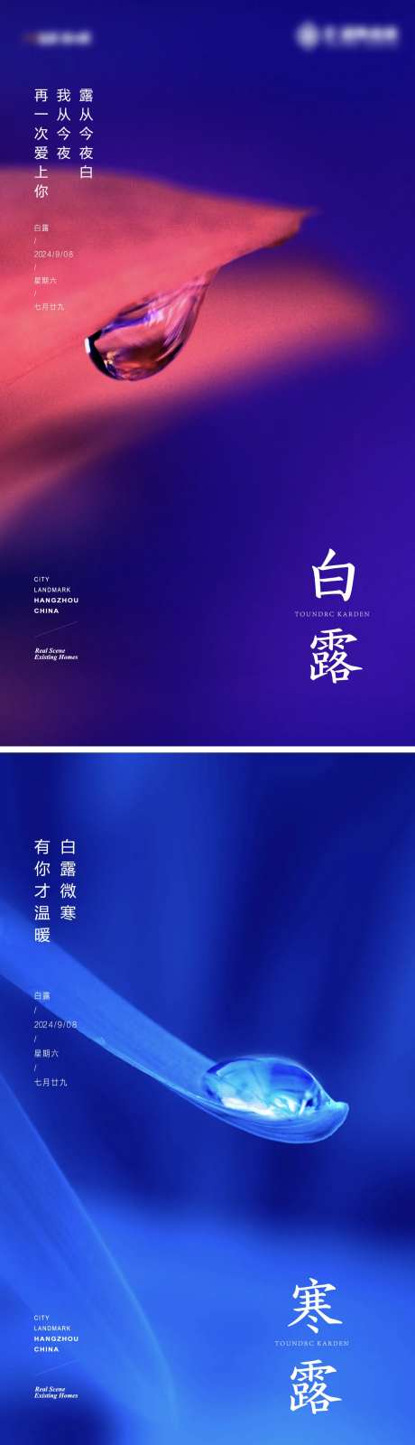 露水白露寒露节气-采灵感-https://www.cailinggan.com/