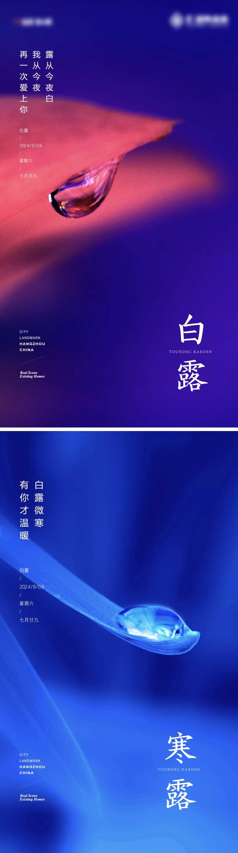 露水白露寒露节气-采灵感-cailinggan.com