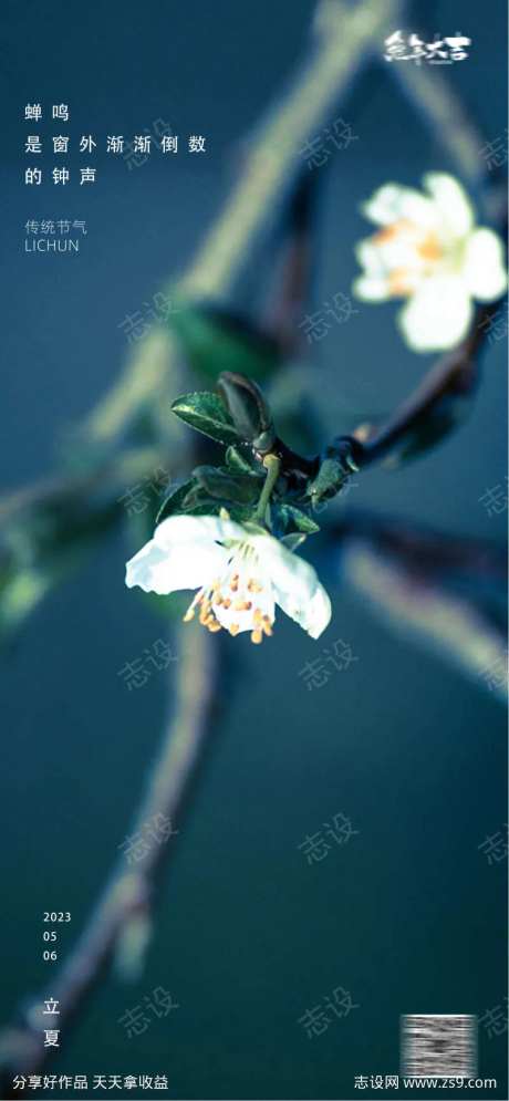 立夏春分花卉24节气海报中国传统节日-采灵感-https://www.cailinggan.com/