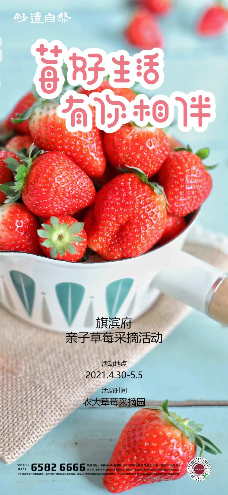草莓亲子采摘活动海报-采灵感-cailinggan.com