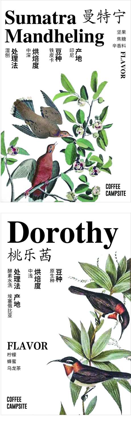 咖啡豆标签海报-采灵感-https://www.cailinggan.com/