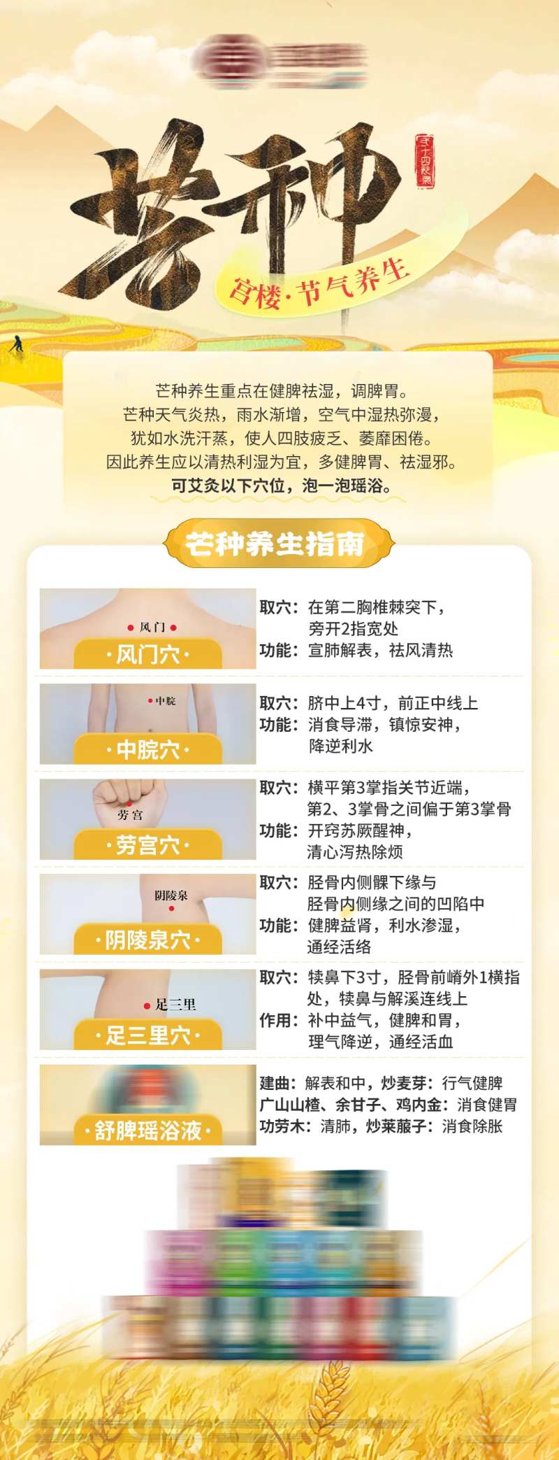芒种二十四节气养生产品介绍海报-采灵感-cailinggan.com