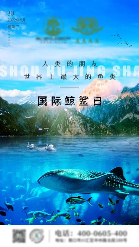 国际鲸鲨日海报-采灵感-https://www.cailinggan.com/