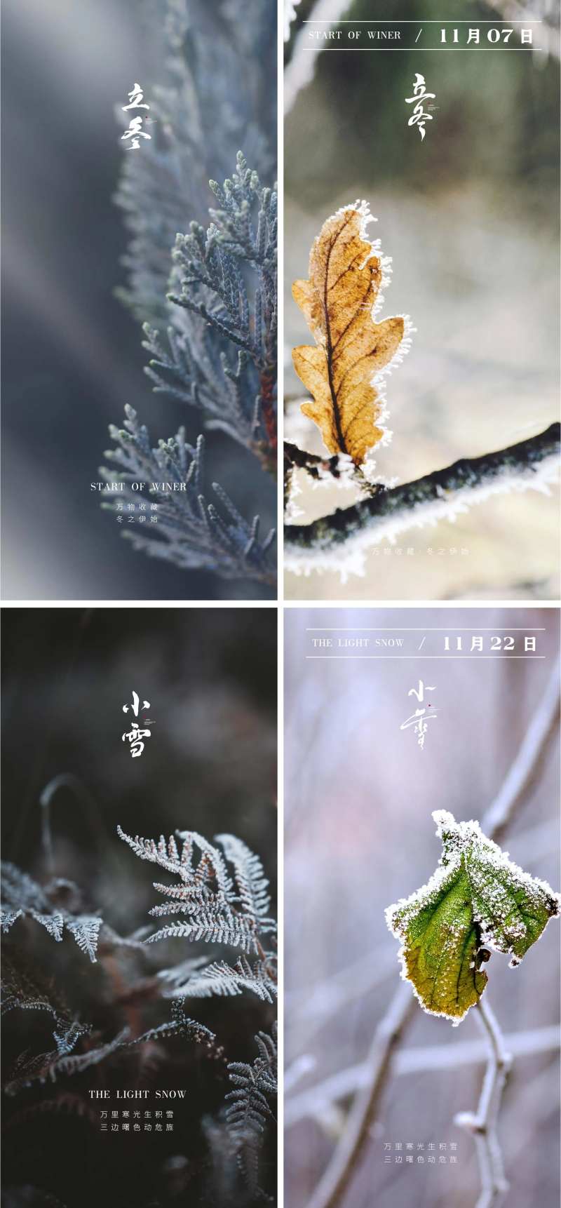 立冬/小雪节气海报 中国二十四时-采灵感-cailinggan.com