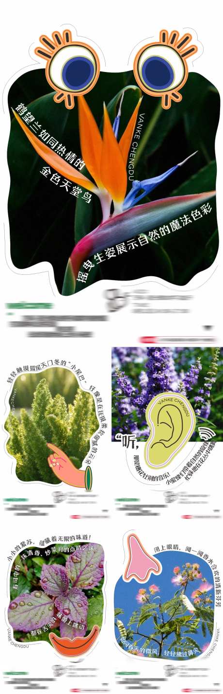 五感植物园系列海报-采灵感-https://www.cailinggan.com/