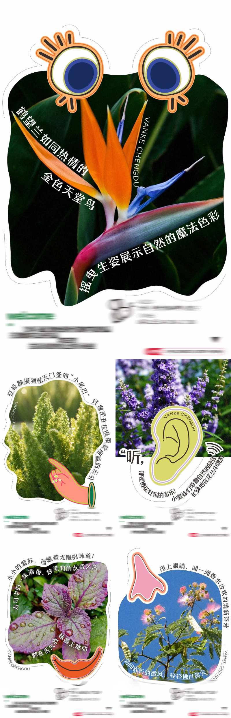 五感植物园系列海报-采灵感-cailinggan.com