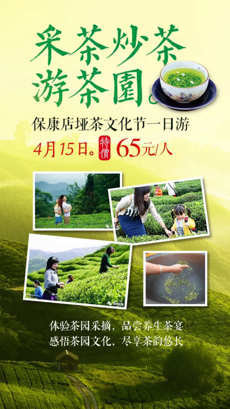 采茶游茶园旅游海报-采灵感-https://www.cailinggan.com/