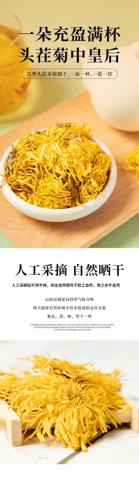 金丝皇菊详情-采灵感-https://www.cailinggan.com/
