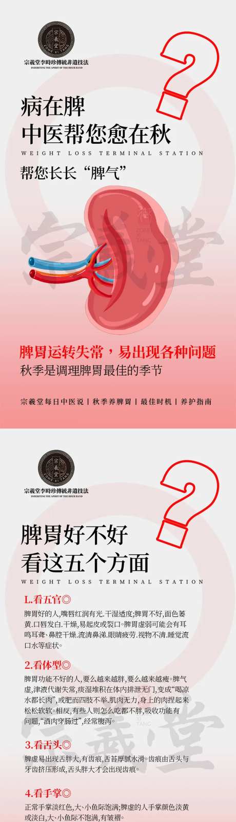 中医脾胃不好的五个方面科普海报-采灵感-https://www.cailinggan.com/