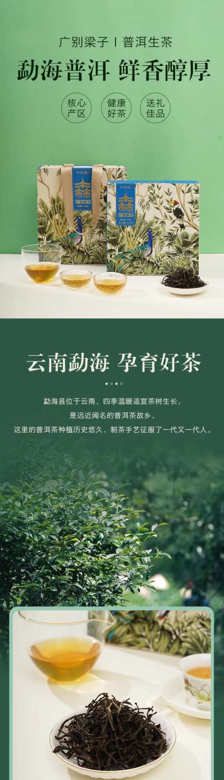 普洱茶详情页-采灵感-https://www.cailinggan.com/