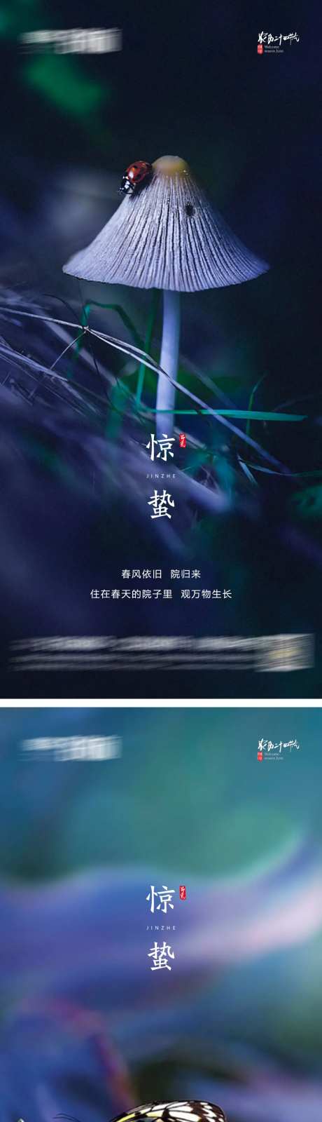 惊蛰-采灵感-cailinggan.com