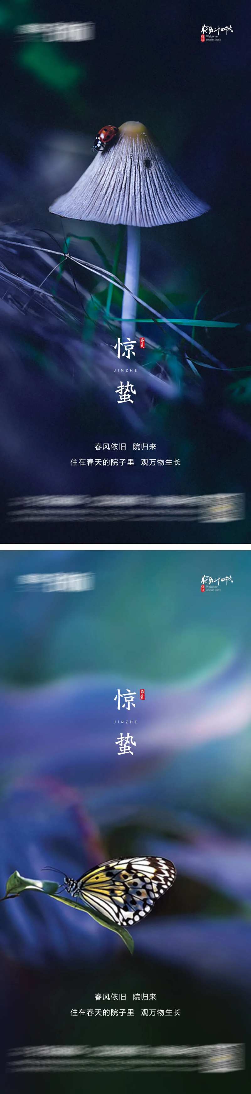 惊蛰-采灵感-cailinggan.com