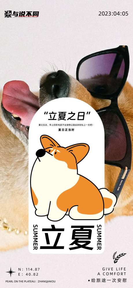 立夏宠物活动海报-采灵感-https://www.cailinggan.com/