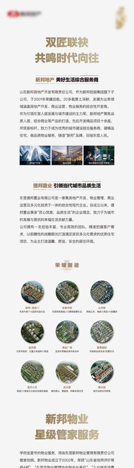 地产品牌物业价值点长图-采灵感-https://www.cailinggan.com/