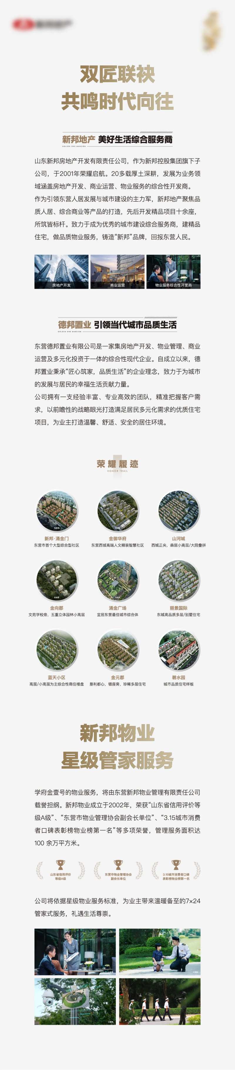 地产品牌物业价值点长图-采灵感-cailinggan.com
