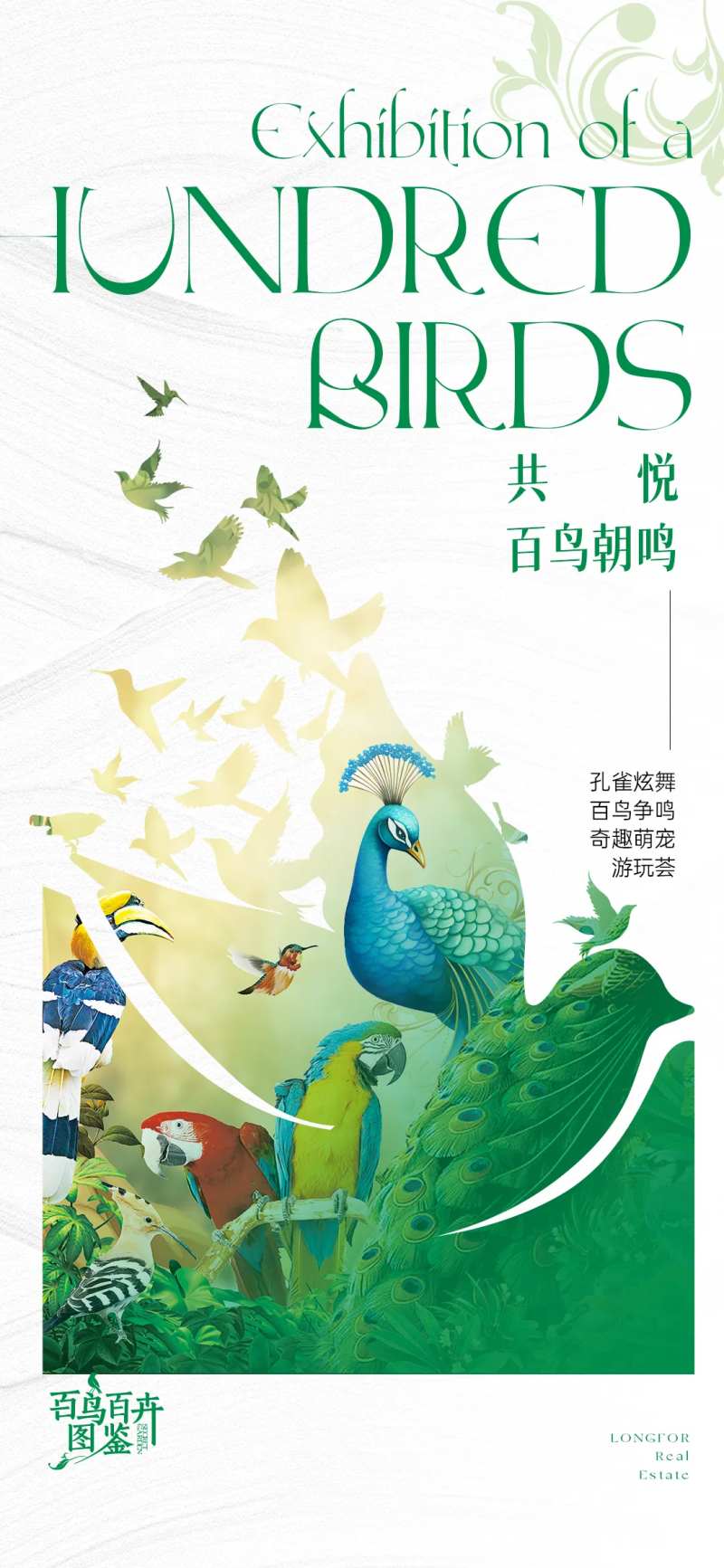 动植物图鉴海报-采灵感-cailinggan.com