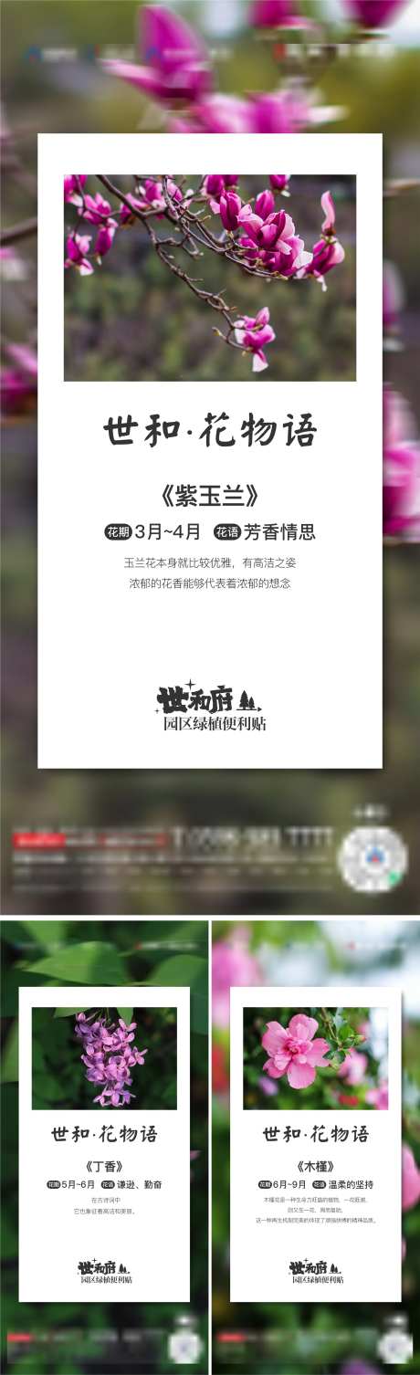 地产花物语系列版式-采灵感-https://www.cailinggan.com/