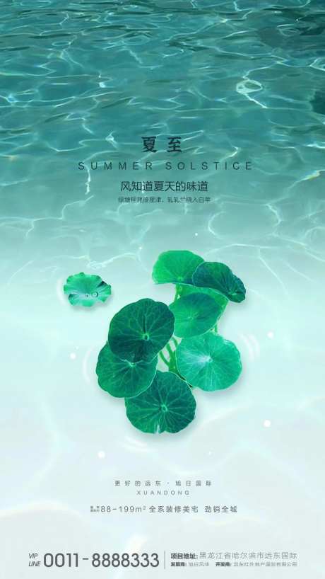 夏至海报-采灵感-https://www.cailinggan.com/