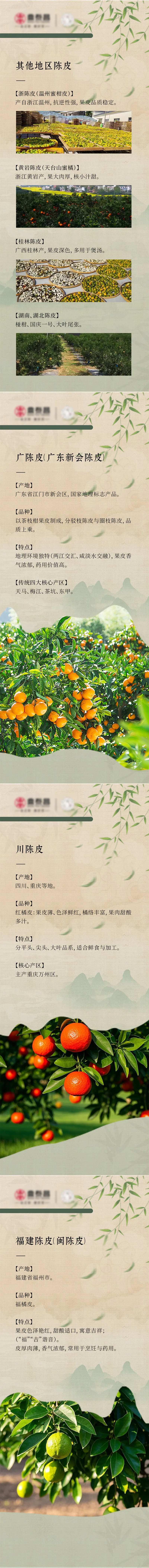陈皮产品介绍系列展架易拉宝-采灵感-cailinggan.com