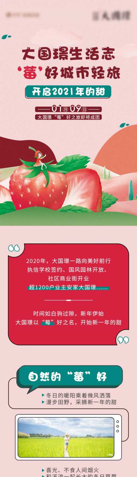 房地产摘草莓活动长图-采灵感-https://www.cailinggan.com/