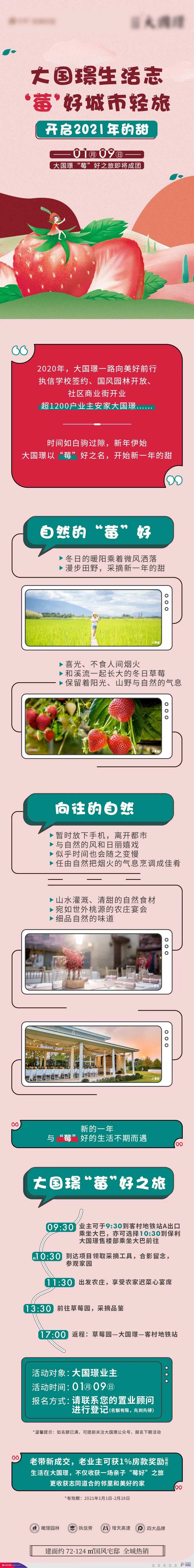 房地产摘草莓活动长图-采灵感-cailinggan.com