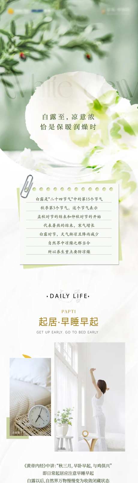 白露养生长图-采灵感-https://www.cailinggan.com/