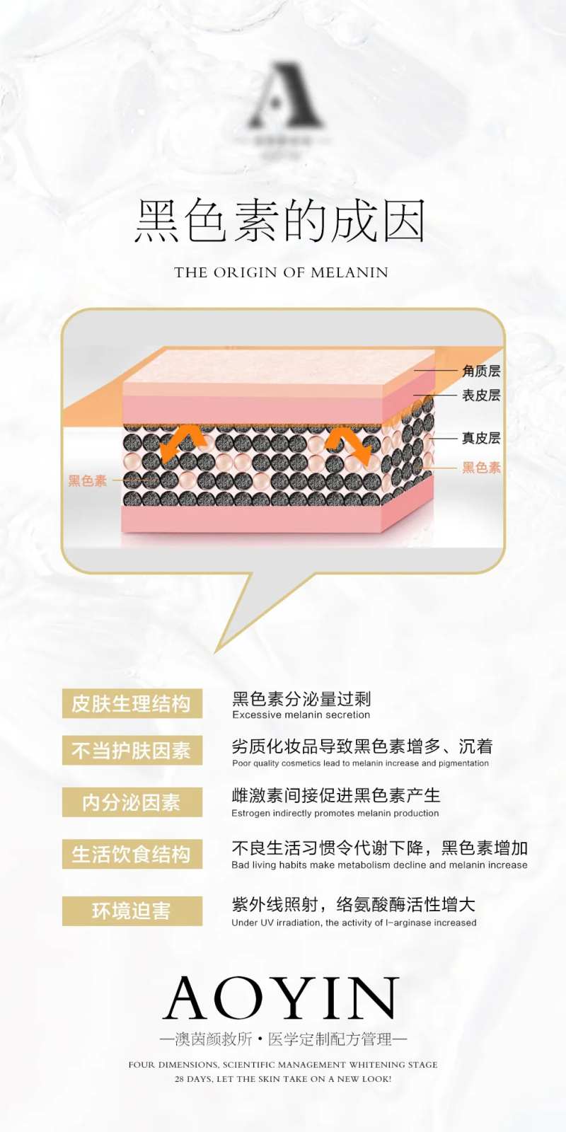 皮肤管理科普黑色素的成因小常识海报-采灵感-cailinggan.com