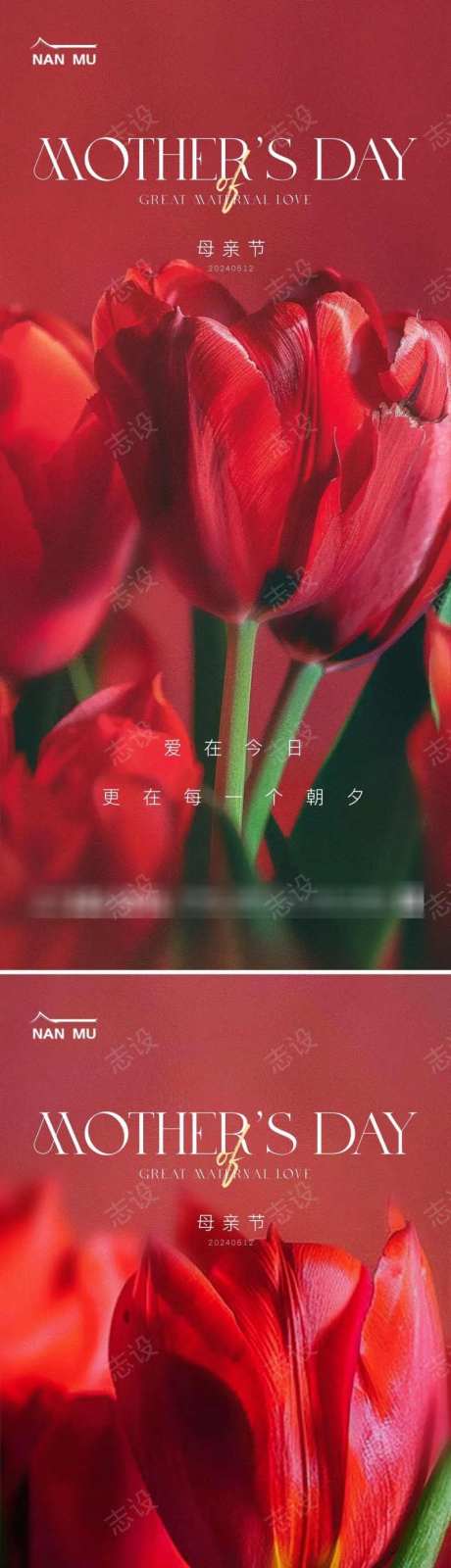 母亲节红色郁金香海报-采灵感-https://www.cailinggan.com/