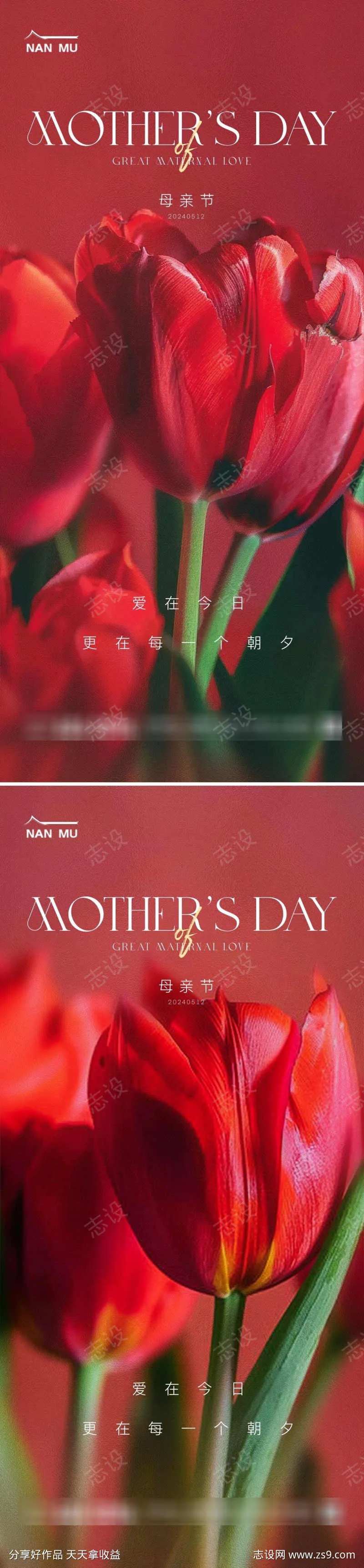 母亲节红色郁金香海报-采灵感-cailinggan.com
